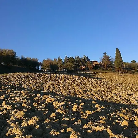 Farm stay Poggio Cantarello Vacanze Chiusi