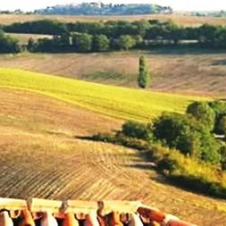 Farm stay Poggio Cantarello Vacanze *